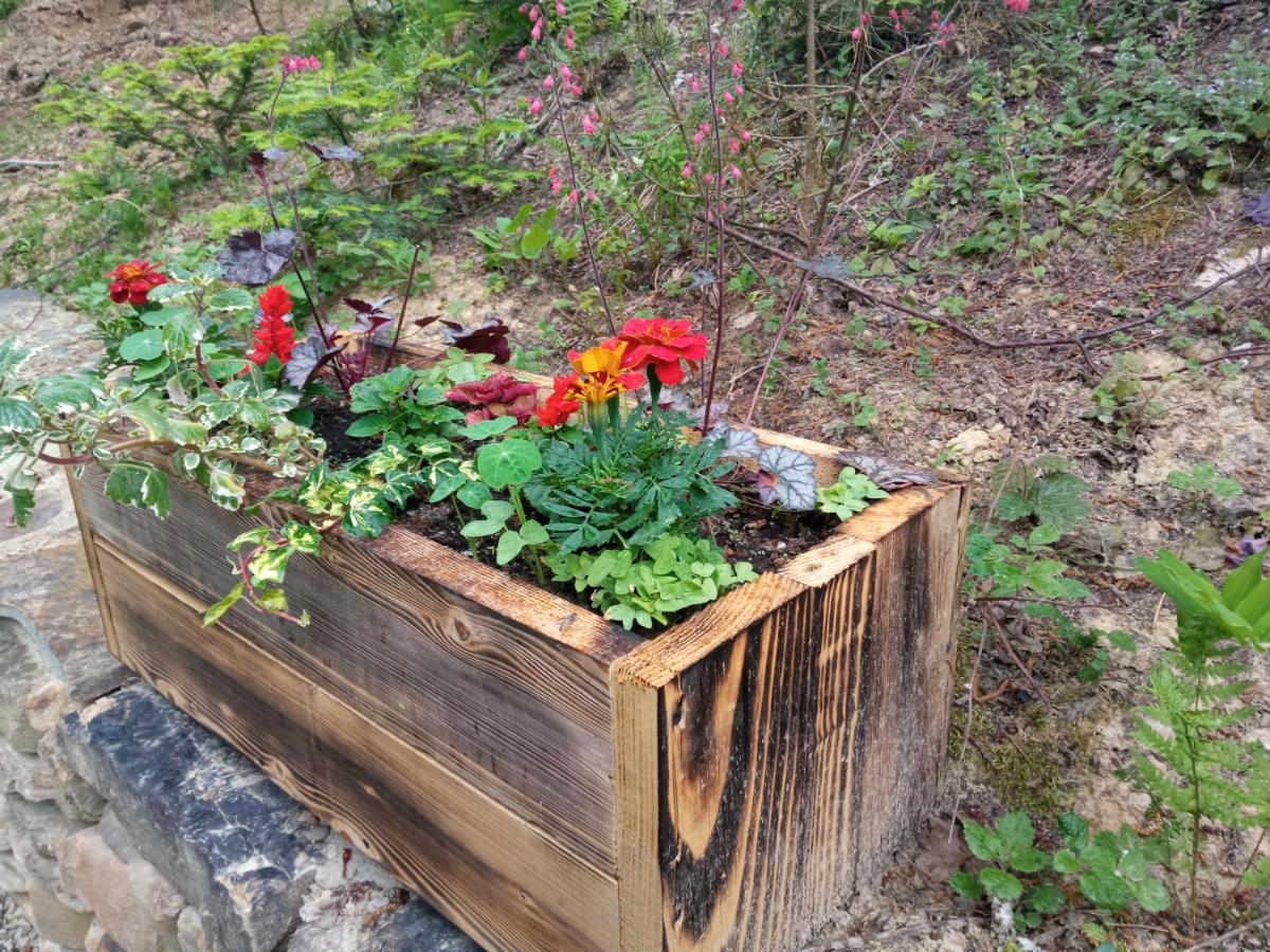 Villa Osada Sroczy Jar Rozpucie Esterno foto